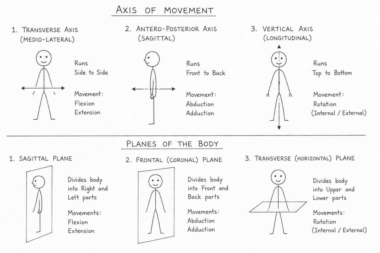 Axes of Movement in Kinesiology: Definition, Types, Planes and Examples ...